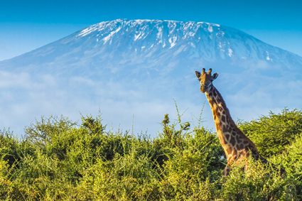 Tanzanie: Mont Kilimandjaro, le plus haut sommet d’Afrique