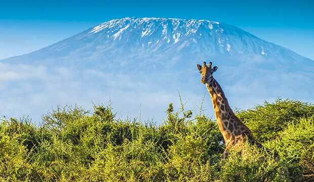 Tanzanie: Mont Kilimandjaro, le plus haut sommet d’Afrique