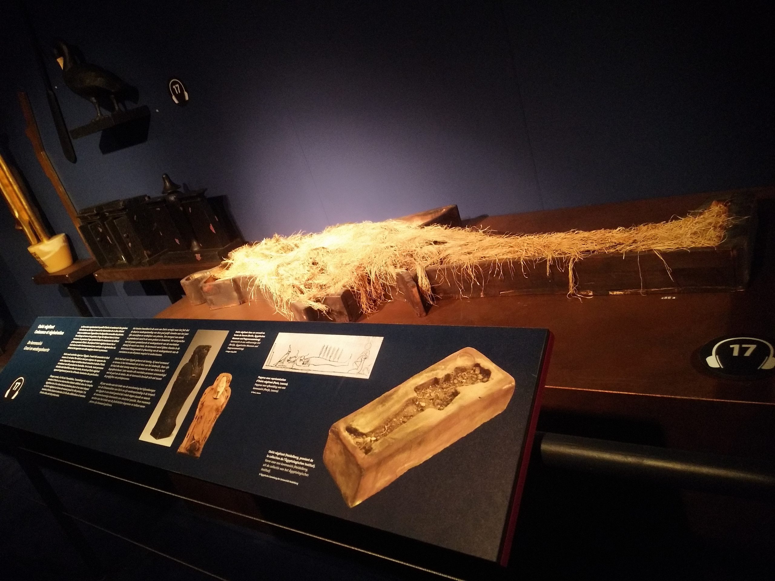 Exposition à Bruxelles de la tombe et trésors du célèbre pharaon Toutankhamon, un siècle après leur découverte