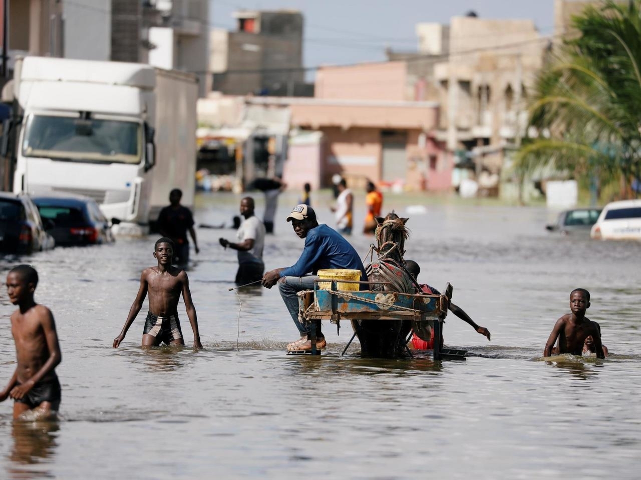 Economie numérique et écologie : Un mariage pour l’avenir du climat en Afrique